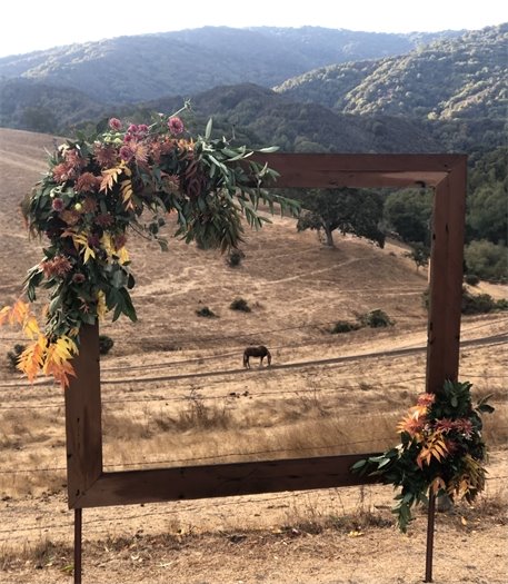 Floral Pop-Up Photo Frame In Partnership with Hidden Villa