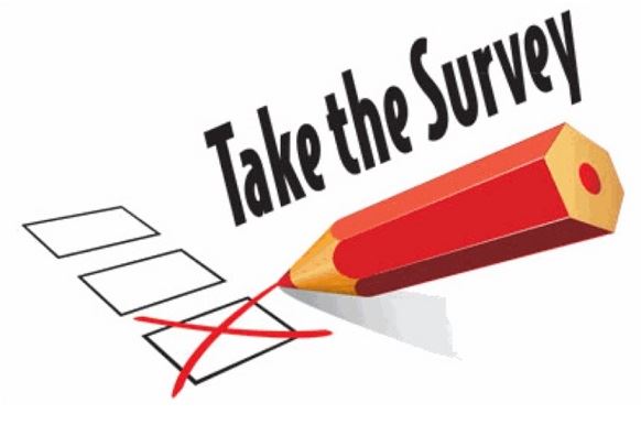 survey icon