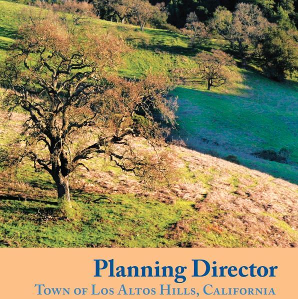 planning director